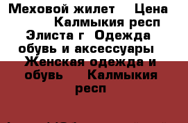 Меховой жилет  › Цена ­ 3 600 - Калмыкия респ., Элиста г. Одежда, обувь и аксессуары » Женская одежда и обувь   . Калмыкия респ.